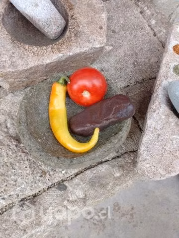 Morteros