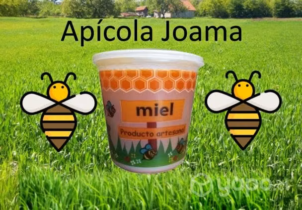 MIEL