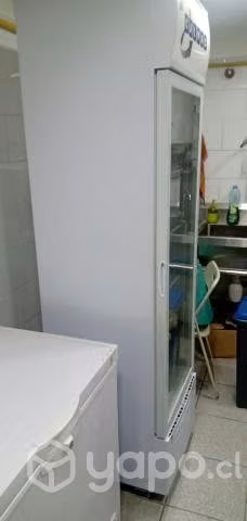 Visicooler 290 Litros - Imagen 3