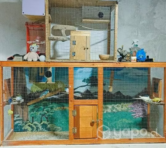 Jaula para pajaritos y caturras