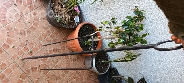 Spiedo para asados