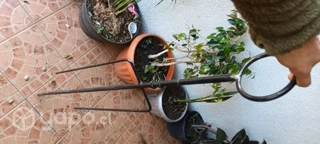 Spiedo para asados