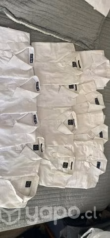 13 Camisas escolares diversas marcas