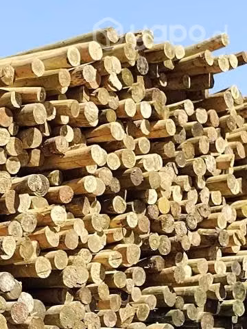 Polines Impregnados para cerco, polines - Imagen 3