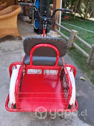Bicicleta con carro incluido - Imagen 2