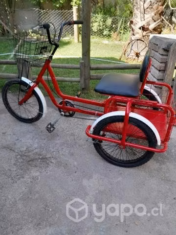 Bicicleta con carro incluido - Imagen 3