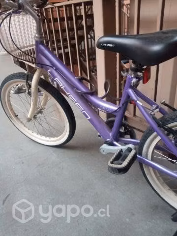 Bicicleta niña aro 20
