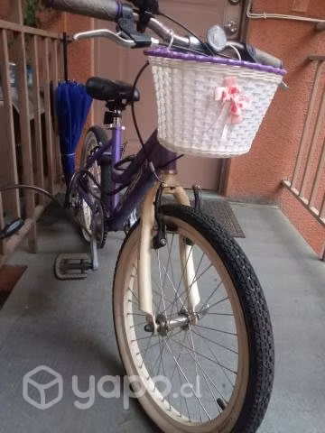 Bicicleta niña aro 20
