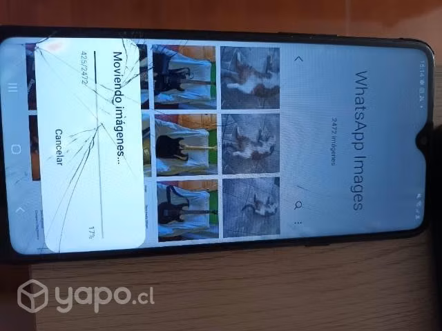 Celular