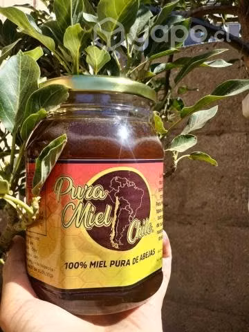 Miel 100% pura