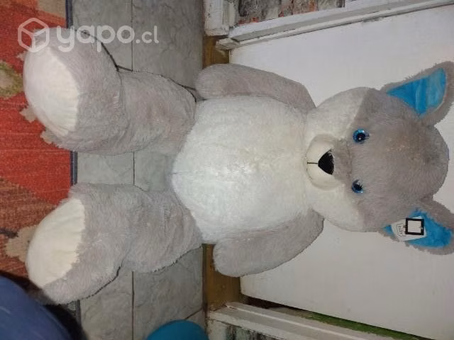 oso