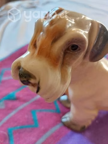 Perrito