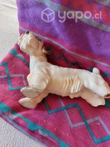 Perrito