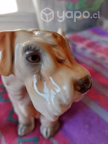 Perrito