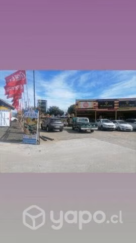 Local
