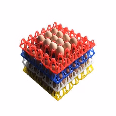 Bandejas de huevos recolectoras