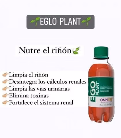 Productos alimenticios - Imagen 5