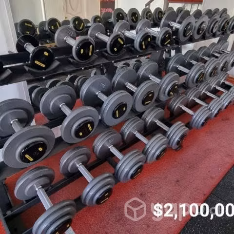 Equipos de gimnasio