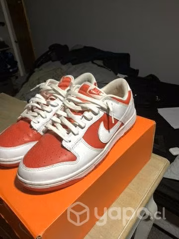 Nike Dunk Low