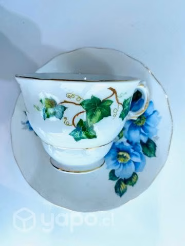 Duo armado de té de porcelana