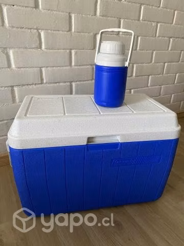 Cooler Coleman