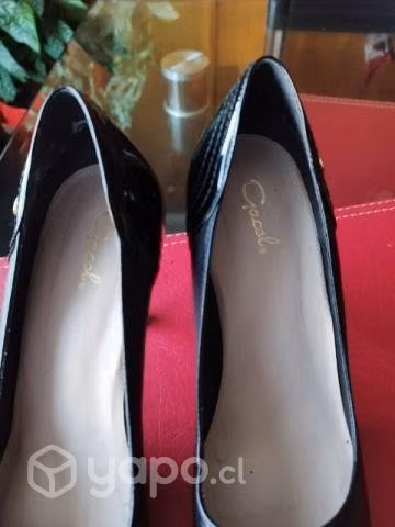 Zapatos gacel