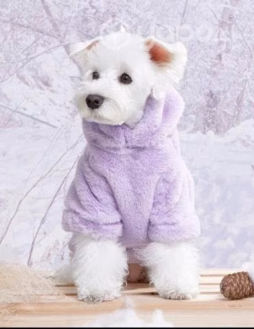 Polerón para perro