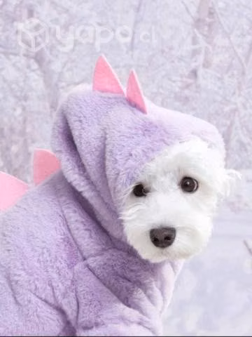 Polerón para perro