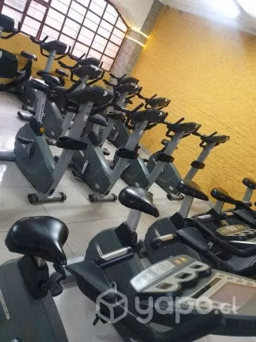 Cardio , Fuerza y bancos profesionales/ Garantia
