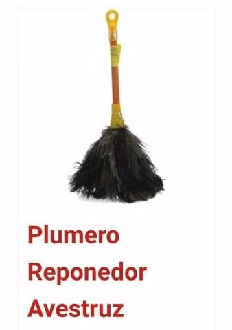 Plumeros avestruz