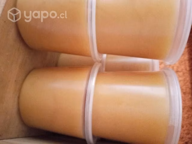 Miel de Raps y multifloral