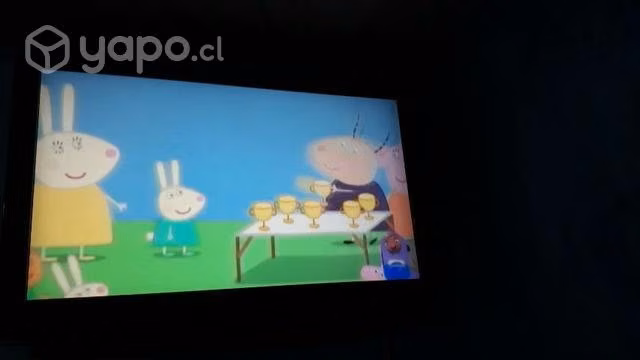Televisor en buen estado