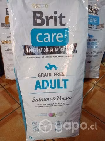Alimento brit súper premium