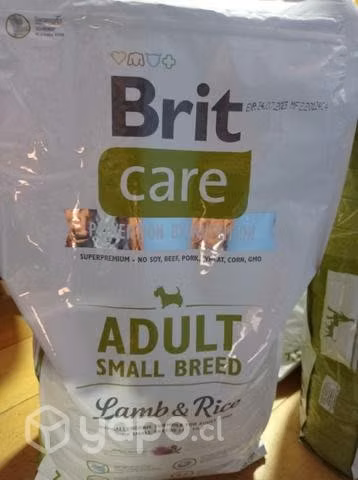 Alimento brit súper premium