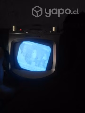 Radio televisor