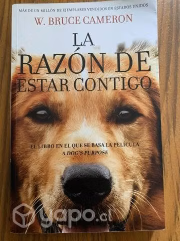 La Razón De Estar Contigo