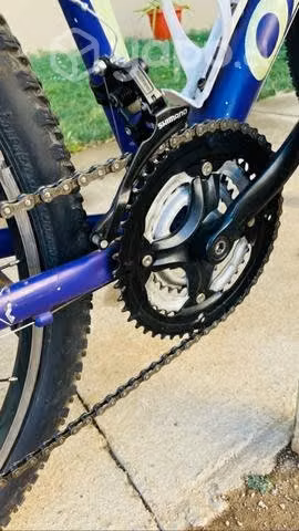 Bicicleta Oxford Venus 1