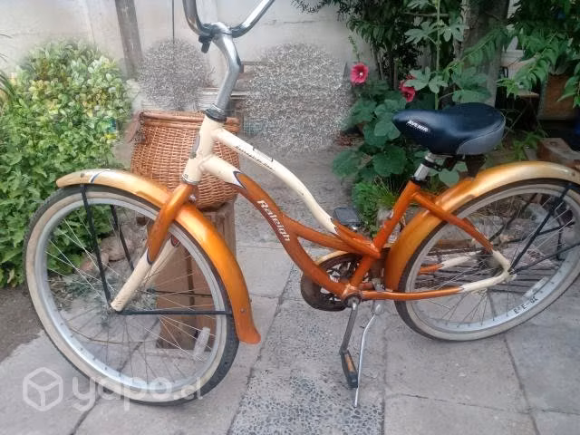 Bicicleta Paseo Raleigh USA ARO 28"