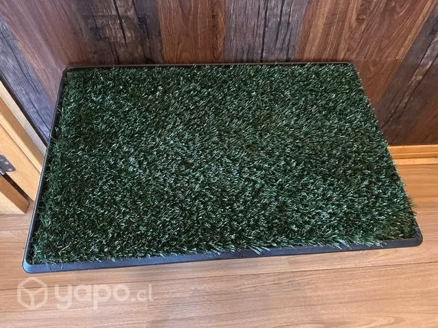 Baño sanitario para mascotas