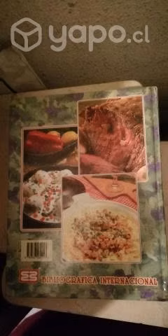 Libro de cocina chilena casi nuevo