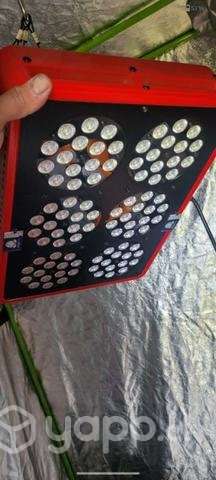 Foco led light - Imagen 2