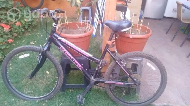 Bicicleta mujer aro 24
