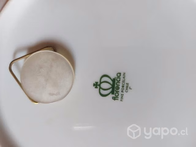Plato Cema Chile - Imagen 3