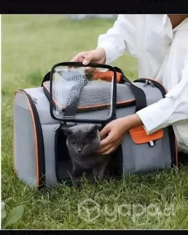 Mochila Transportadora de mascotas