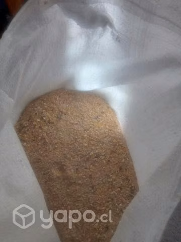 Alimento para gallinas ponedoras compuesto de maíz