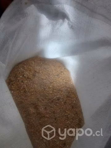 Alimento para gallinas ponedoras compuesto de maíz
