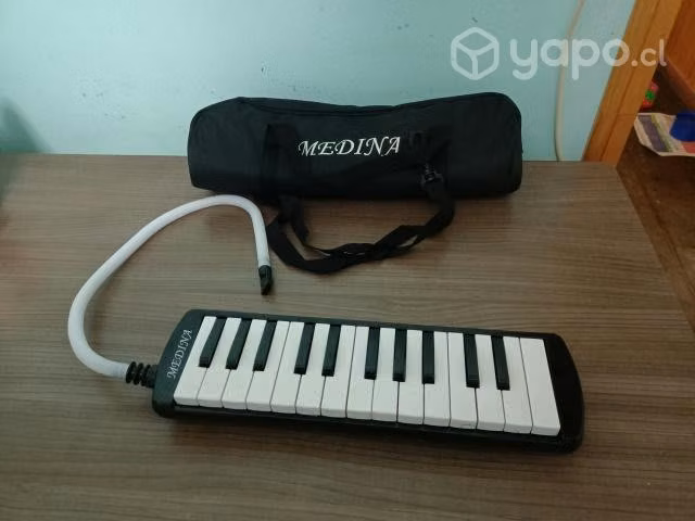 Melodica instrumento musical