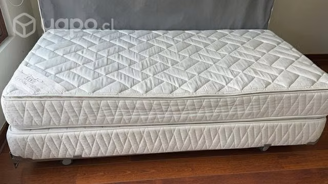 Cama Rosen
