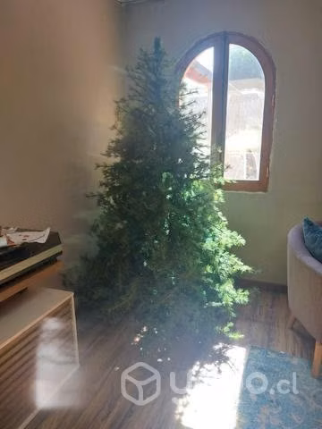 Árbol de navidad