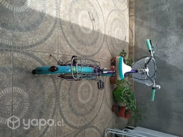 Bicicleta Oxford - Imagen 2